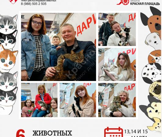 Спешим поделиться итогами выставки в Мегацентре 